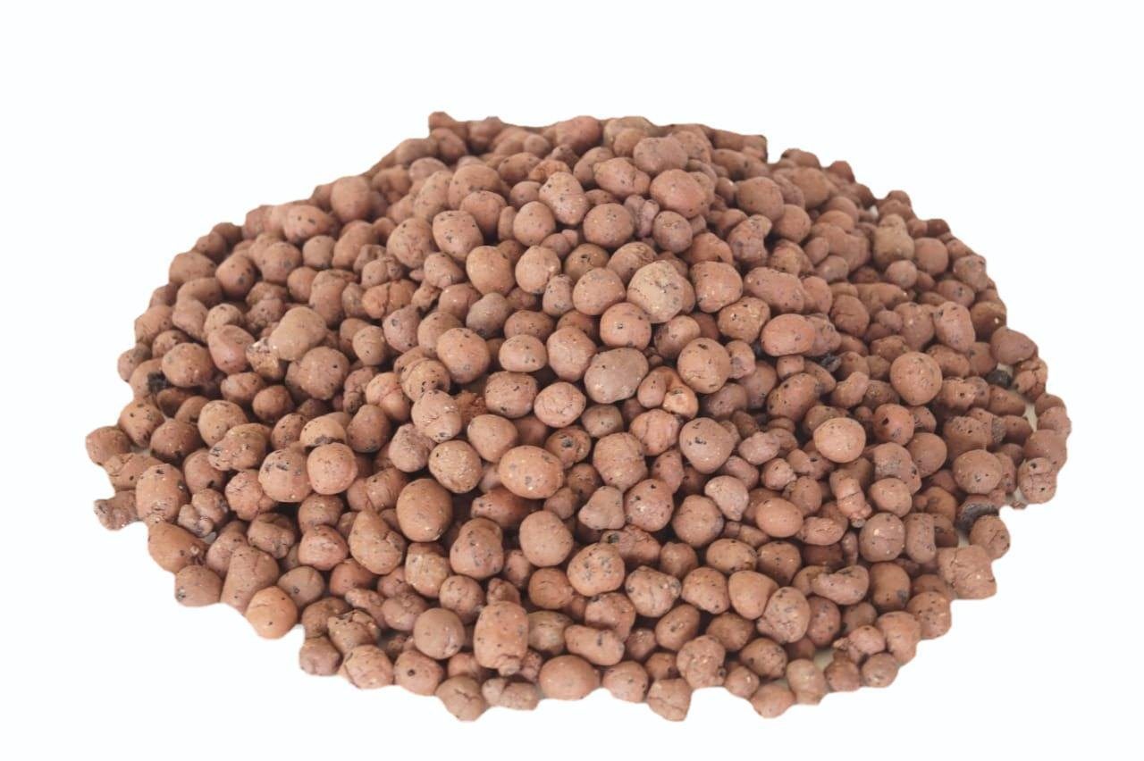 Expanded Clay Pebbles 8-15 mm — manufactured in India by Greenz Biotech