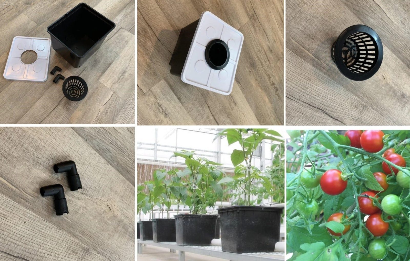 Dutch Bucket System — manufactured in India by Greenz Biotech