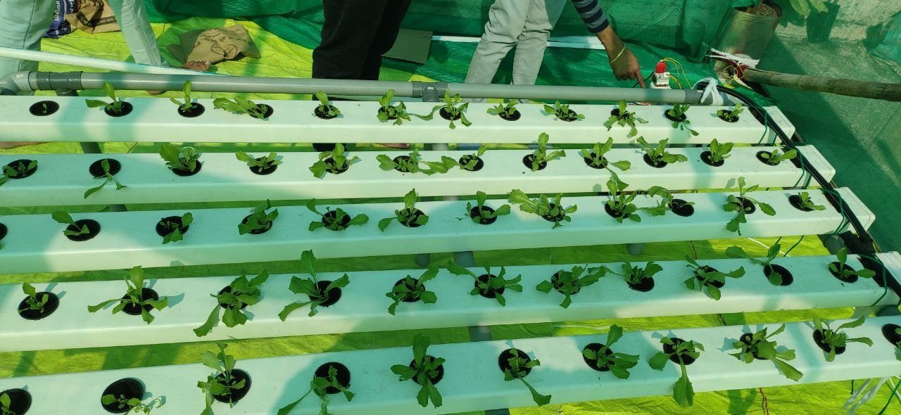 Hydroponic Trough System — manufactured in India by Greenz Biotech