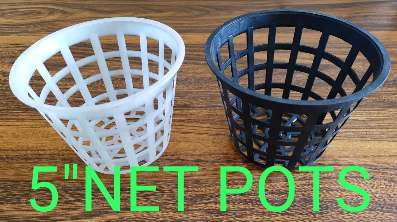 Net Cup 5 inch — manufactured in India by Greenz Biotech