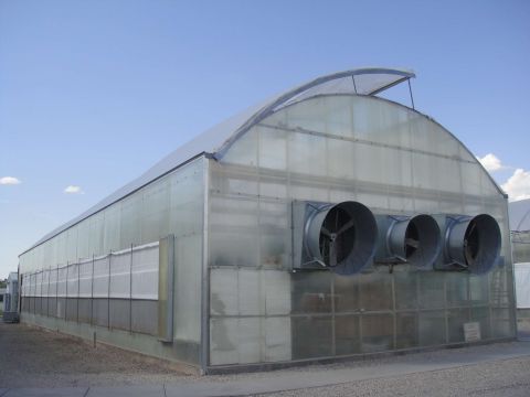 Plastic Polyhouse Construction — Greenz Biotech, India