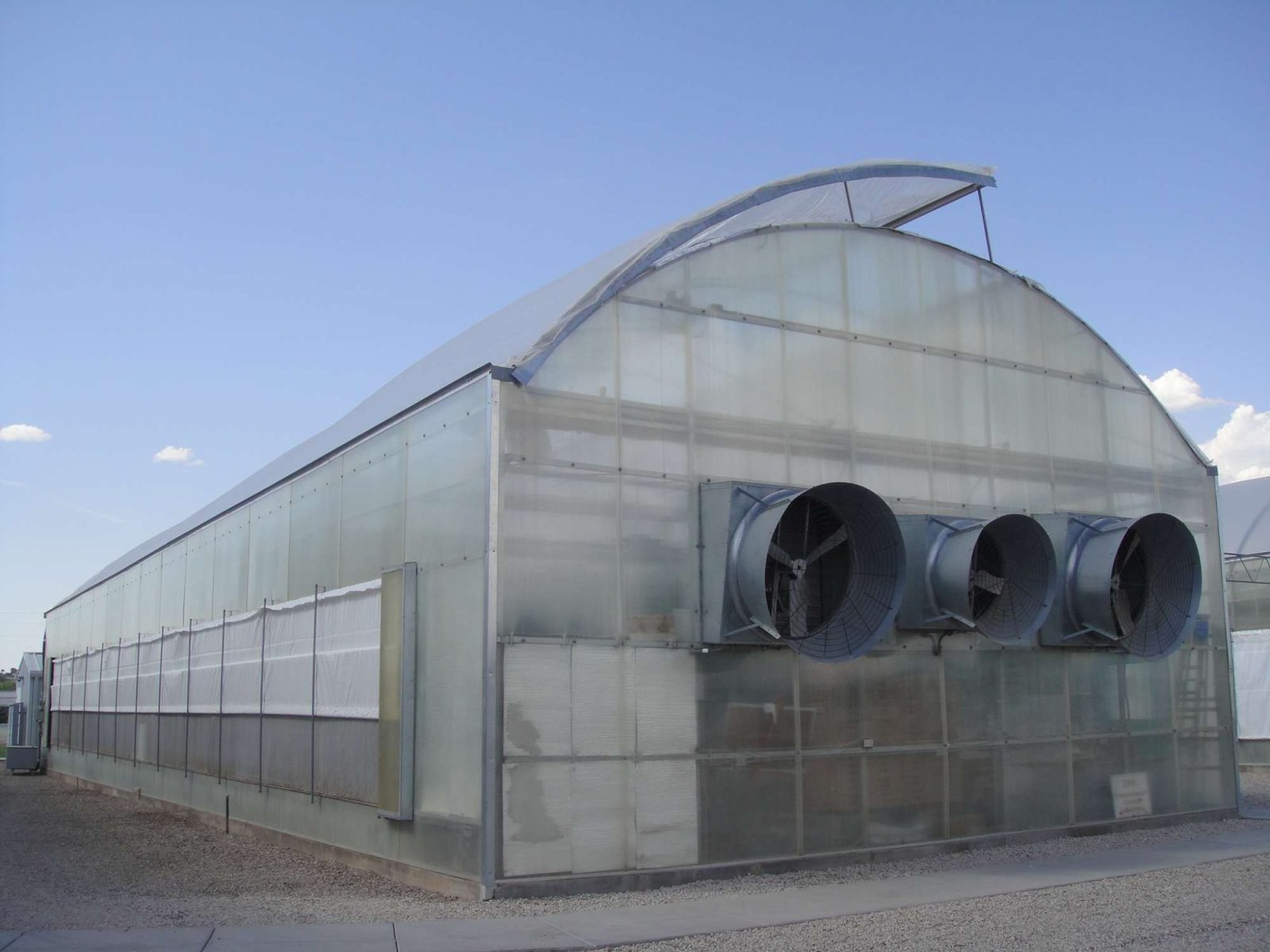 Plastic Polyhouse Construction — Greenz Biotech