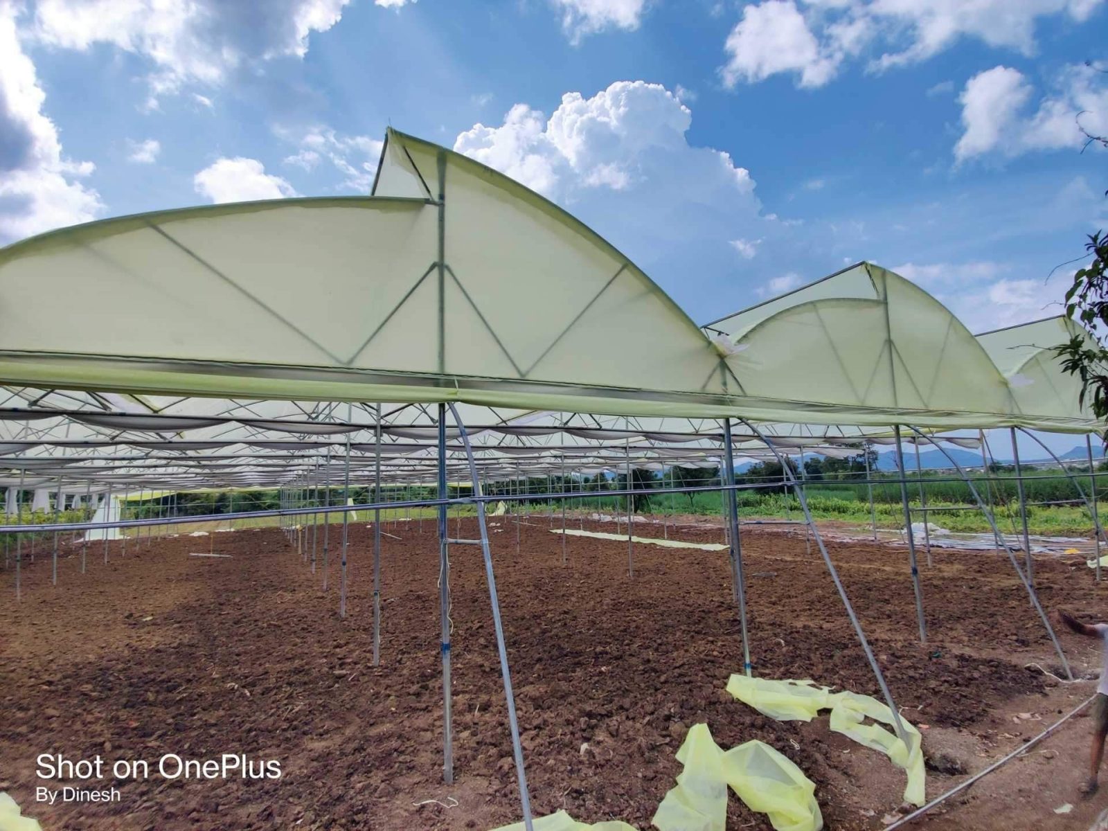 Polyhouse Installation — Greenz Biotech